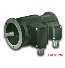 Сдвоенный энкодер Baumer POG 10 G